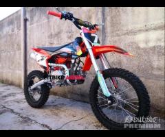 NUOVE PitBike 125 / 140 REPLICA KTM REDBULL 17/14 - 8