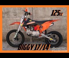 NUOVE Pit Bike 125 / 140 REPLICA KTM REDBULL 17/14 - 1