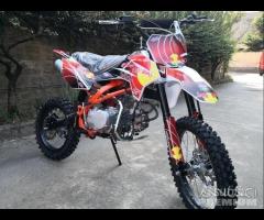 MOTO PIT BIKE 160 R17/14 SX REDBULL A RATE DA