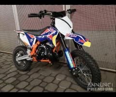 2024 MINICROSS sx 50 ktm redbull monster minimoto