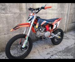 NUOVE Pit Bike 125 / 140 17/14 REDBULL KTM 2024 sx