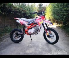 Nuove 2024 PITBIKE 125-140 17/14 REDBULL ktm cross