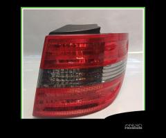 Fanale Fanalino Destro DX AUTOMOTIVE LIGHTING 27.5 - 1