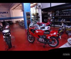 Ricambi ducati pantah 350 500 600