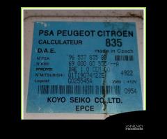 Centralina Sterzo KOYO 6900000555/A CITROEN C3 1a