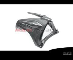 Puntale carbonio MV Agusta Brutale 2001-2009 - 2