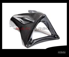 Puntale carbonio MV Agusta Brutale 2001-2009 - 6