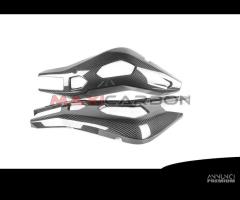 Cover forcellone carbonio BMW S1000XR