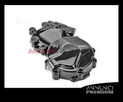 Cover alternatore carbonio BMW S1000XR