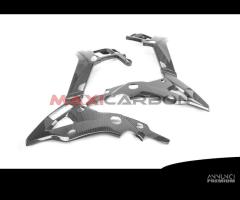 Cover telaio integrali carbonio BMW S1000XR