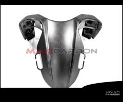 Parafango anteriore carbonio Ducati Hypermotard950 - 4