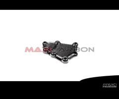 Cover pick-up carbonio BMW HP4 2013-2014 - 3