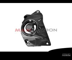 Copripignone carbonio BMW S 1000 RR 15-18