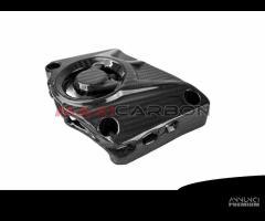 Copripignone carbonio BMW S 1000 RR 15-18