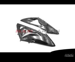 Carene laterali carbonio BMW S 1000 RR 2012-2014