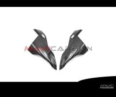 Fianchetti lat frontale carbonio BMW S1000RR 19/21 - 1