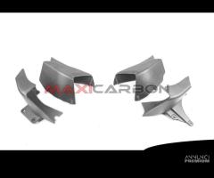 Ali carene carbonio Multistrada V4