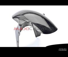 Parafango anteriore carbonio BMW S1000XR