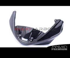 Cupolino inf. carbonio Ducati Monster 696-796-1100