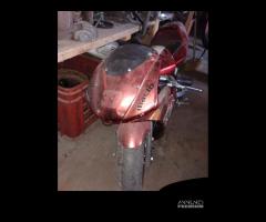 minimoto honda baby 49 cc moto - 3