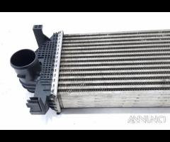 INTERCOOLER JEEP Grand Cherokee 4a Serie 55038004A - 6