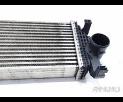 INTERCOOLER JEEP Grand Cherokee 4a Serie 55038004A - 7