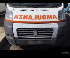 Musata Fiat ducato 2012