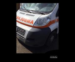 Musata Fiat ducato 2012