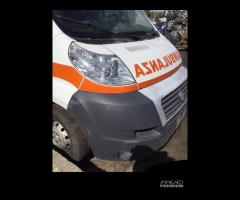 Musata Fiat ducato 2012