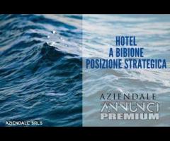 AZIENDALE-HOTEL 3 STELLE SUPERIOR A BIBIONE