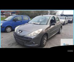 Ricambi Usati PEUGEOT 206 Plus 2010