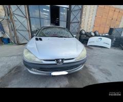 Ricambi Peugeot 206 1.9 diesel 69cv del 2000 - 1