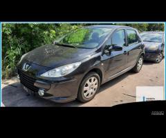 Ricambi Usati PEUGEOT 307 2005