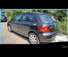 Ricambi Usati PEUGEOT 307 2005