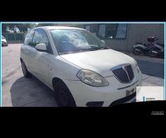 Ricambi Usati LANCIA YPSILON (TI) 2010