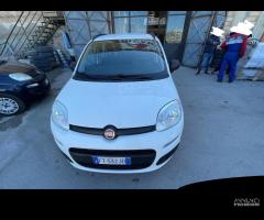 Fiat Panda 1.2 benz del 2019