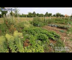 Lotti agricoli per orto a Chiaravalle