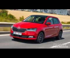 Ricambi Skoda Fabia