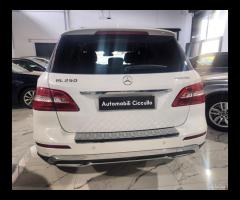 Mercedes-benz ML 250 ML 250 BlueTEC 4Matic Premium