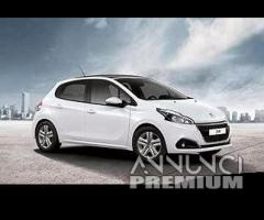 Porte peugeot 208 +