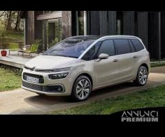 Ricambi porte c4 gran picasso - 1