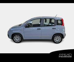 FIAT PANDA 1.2 69cv E6d-Temp Easy 5 PORTE