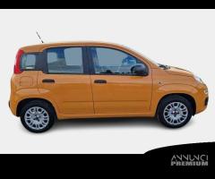 FIAT PANDA 1.2 69cv S/S E6d-Temp Easy 5 PORTE