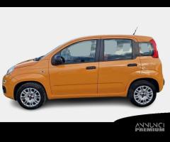 FIAT PANDA 1.2 69cv S/S E6d-Temp Easy 5 PORTE