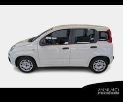 FIAT PANDA 1.0 70cv S/S Hybrid E6d-T Easy 5 PORTE