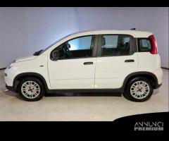 FIAT PANDA 1.0 FireFly 70cv S/S Hybrid 5 PORTE