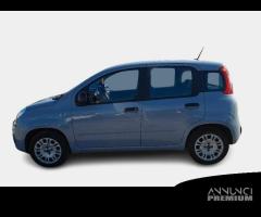 FIAT PANDA 1.2 69cv S/S E6d-Temp Easy 5 PORTE