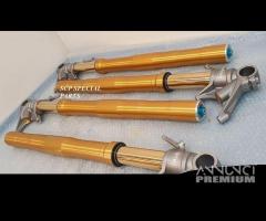 DUCATI PANIGALE FORCELLE OHLINS PRESSURIZZATE V4R - 8