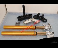 DUCATI MONSTER AVANTRENO OHLINS PIASTRE RICAVATE