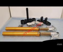 DUCATI MONSTER AVANTRENO OHLINS PIASTRE RICAVATE - 6